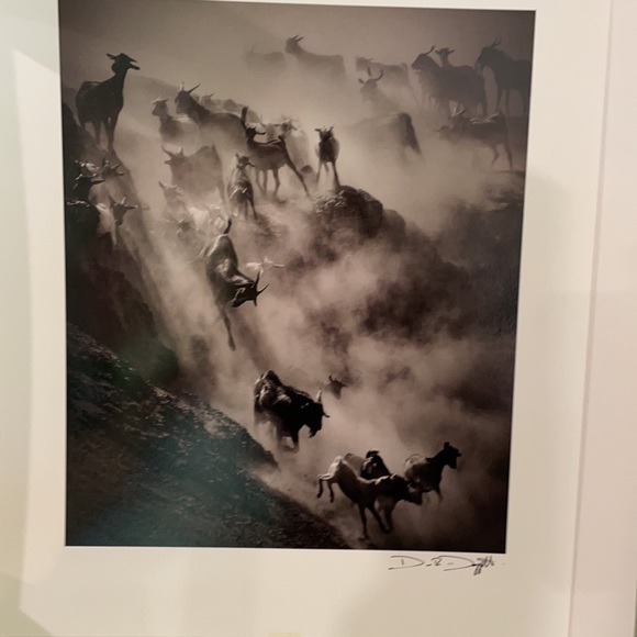 Drew Doggett Photography - Picture 5 of 8